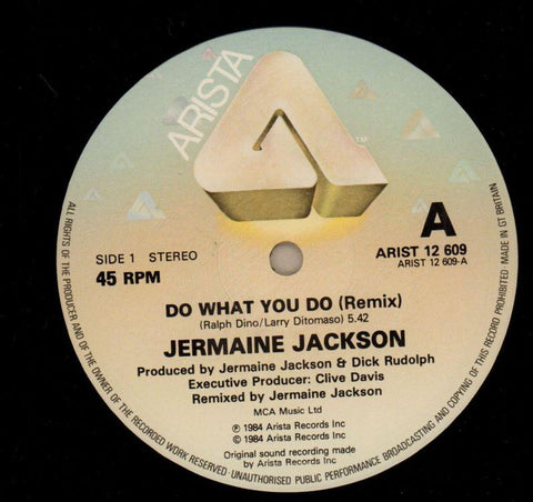 Do What You Do-ARISTA-12" Vinyl P/S-Ex/VG