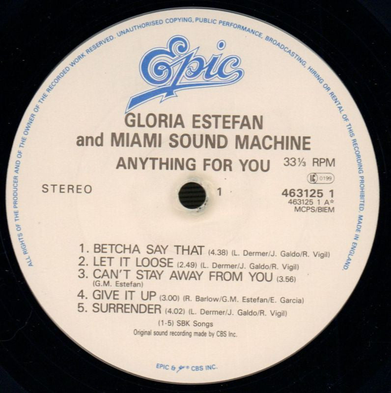 Anything For You-Epic-Vinyl LP-G+/Ex+