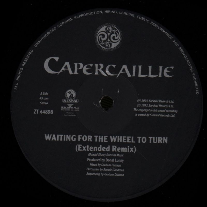 Waiting For The Wheel To Turn-Survival-12" Vinyl-Ex/Ex