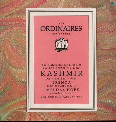 Kashmir-Brave-Vinyl LP