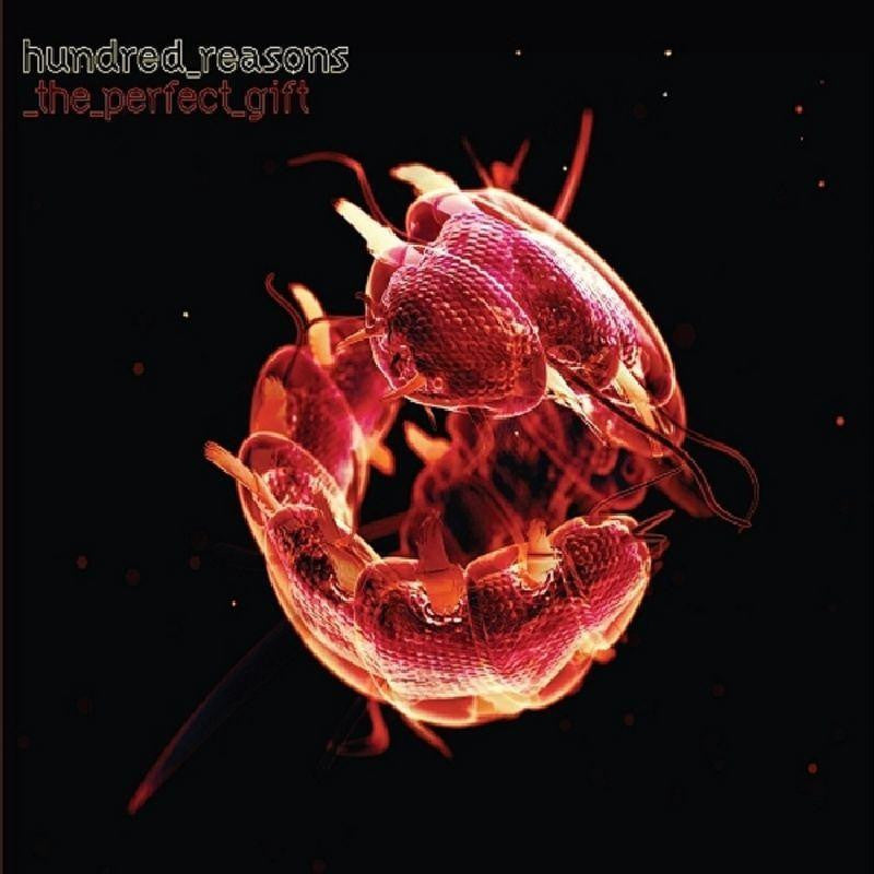 Hundred Reasons-The Perfect Gift-CD Single