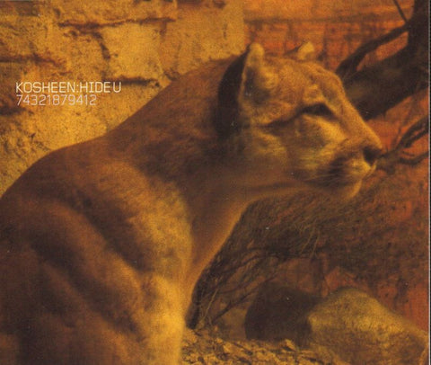 Kosheen-Hide U-CD Single