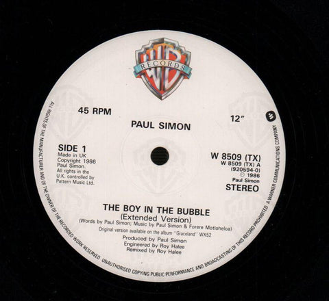 The Boy In The Bubble-Warner-12" Vinyl P/S-VG/VG