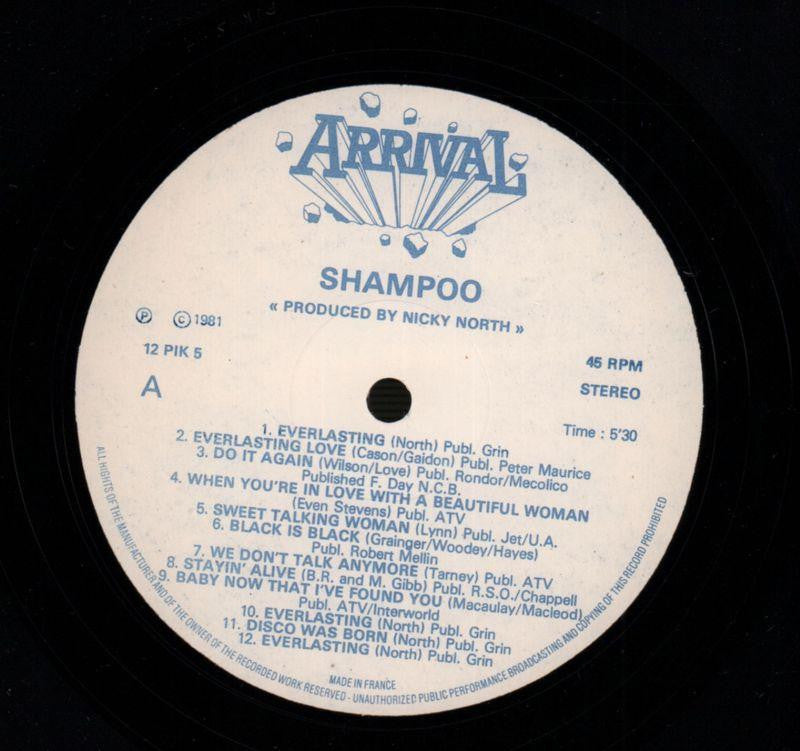 Everlasting-Arrival-Vinyl LP-VG/Ex