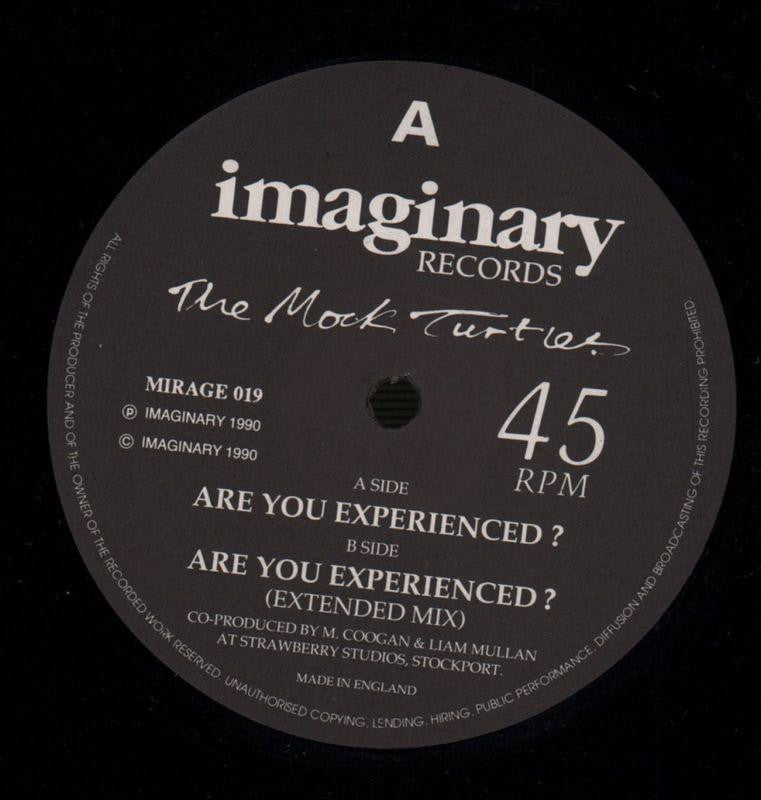 The Mock Turtles-Are You Experienced-Imaginary-12" Vinyl-VG/VG