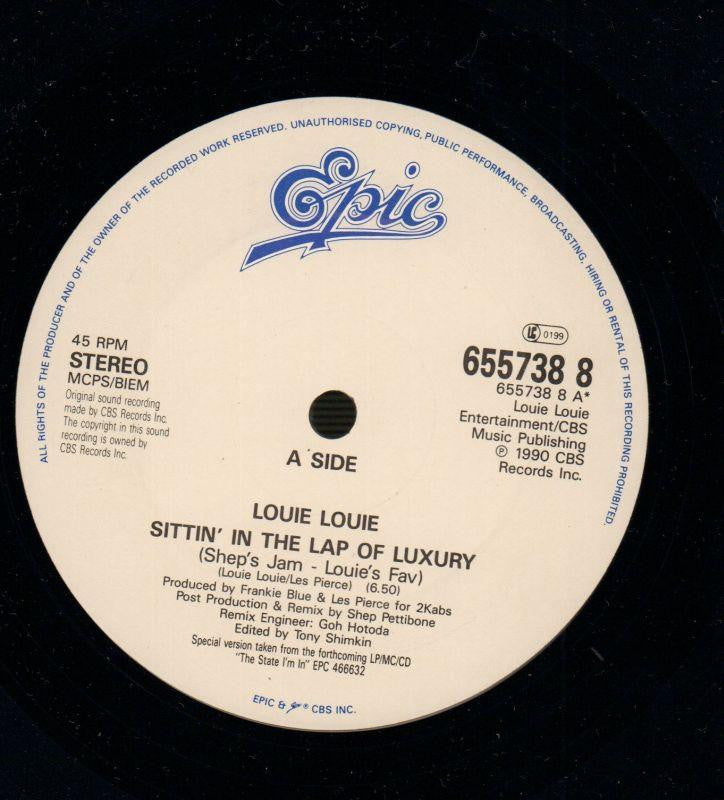 Sittin' In The Lap Of Luxury-Epic-12" Vinyl P/S-VG/VG