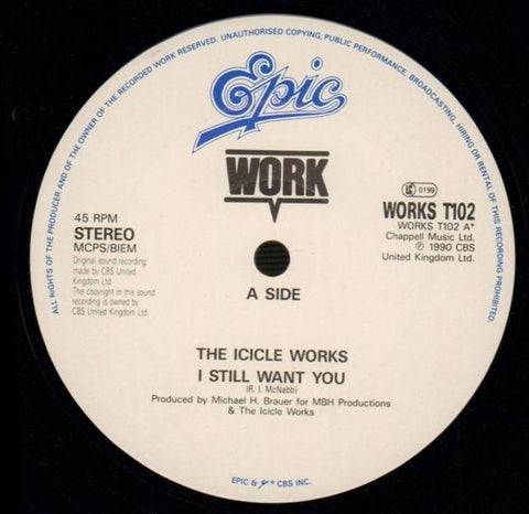 I Still Want You-Epic-12" Vinyl P/S-VG/VG