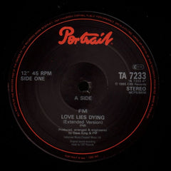 Love Lies Dying-Portrait-12" Vinyl-VG/Ex+
