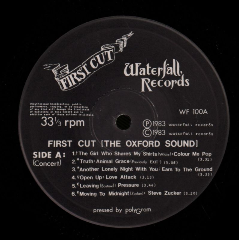 First Cut-Waterfall-Vinyl LP-VG/Ex