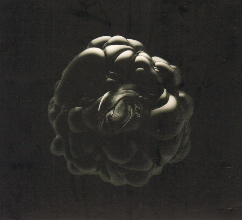Ghost Community-Cycle Of Life-Rok Music-CD Album-Like New
