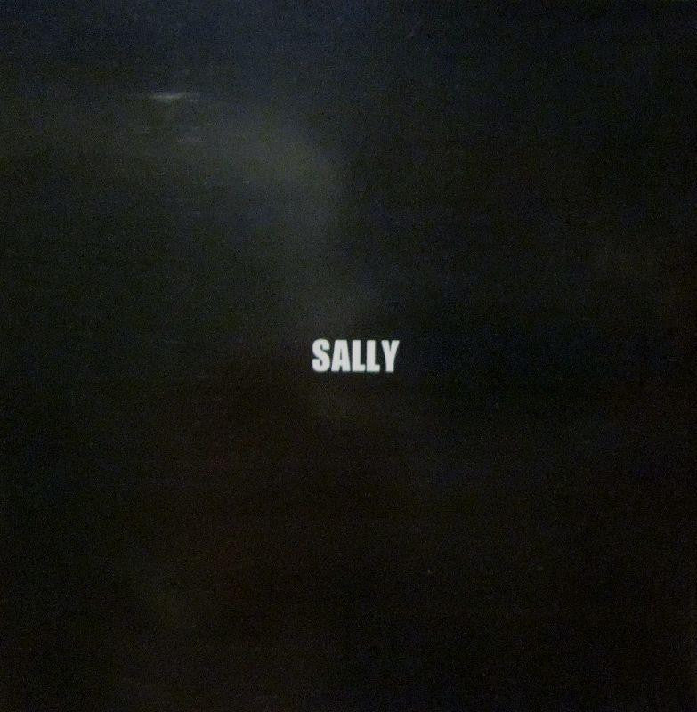 Sally-C Earth-Dreamcatcher RISE ABOVE-CD Album