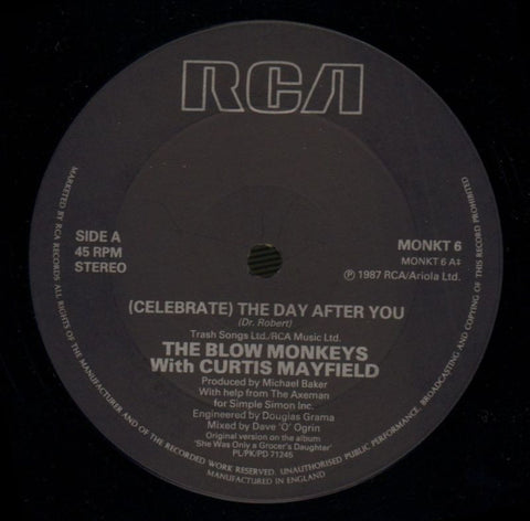 The Day-RCA-12" Vinyl-VG/VG