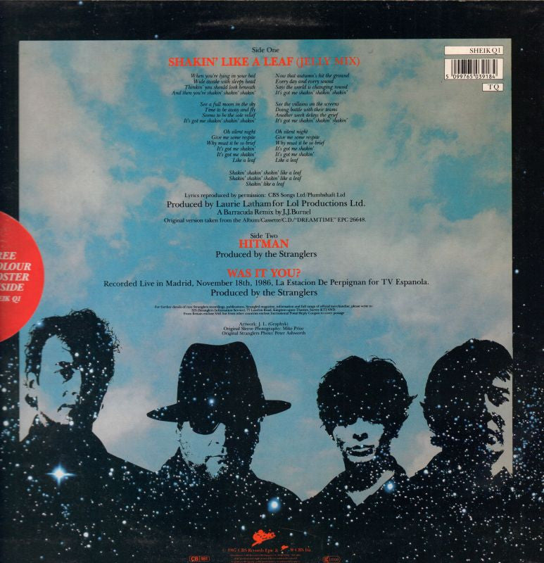 Shakin Like A Leaf-EPIC-12" Vinyl-VG+/M