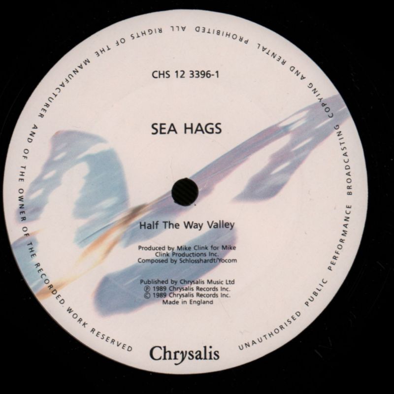 Half The Way Valley-Chrysalis-12" Vinyl-VG/Ex
