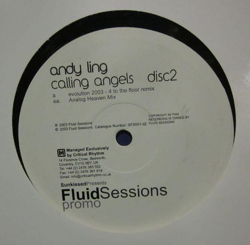 Andy Ling-Calling Angels Disc 2-Fluid Sessions-12" Vinyl