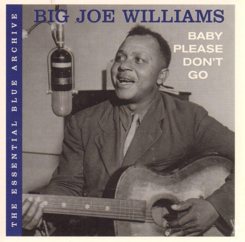 Big Joe Williams-Baby Please Don't Go-CD Album