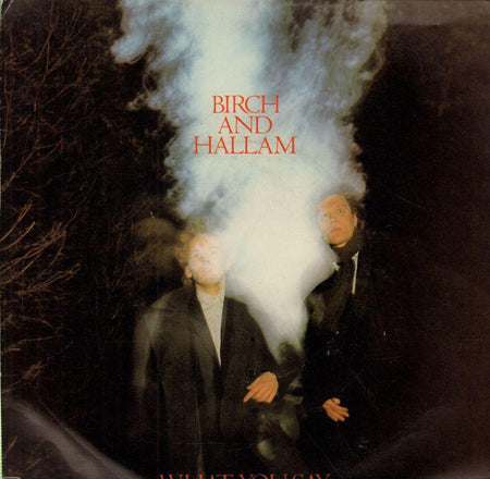 Birch And Hallam-What You Say-7" Vinyl P/S