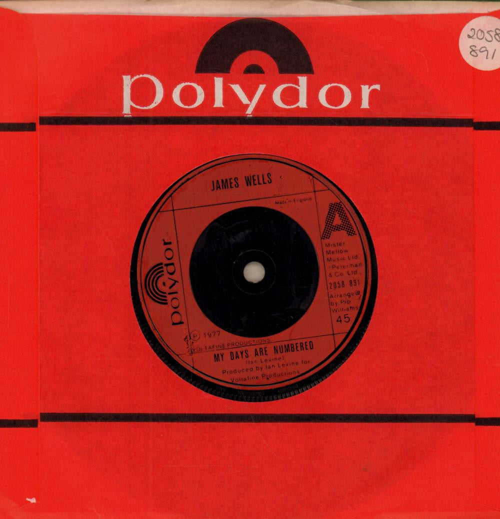 James Wells-My Days Are Numbered-7" Vinyl