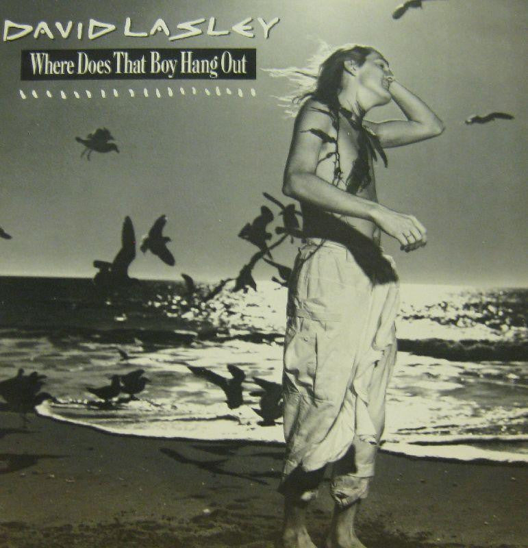 David Lasley-Where Does That Boy Hang Out-EMI-12" Vinyl