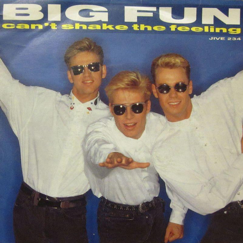 Big Fun-Can't Shake The Feeling-7" Vinyl P/S