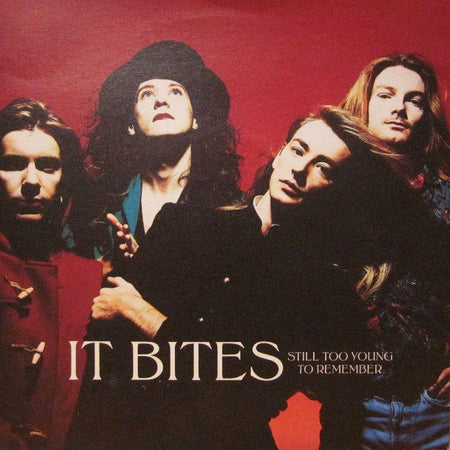 It Bites-Still Too Young To Remeber-7" Vinyl P/S